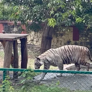 unnamed - 2025-09-01T114508.691