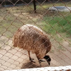 unnamed - 2025-09-01T114514.438