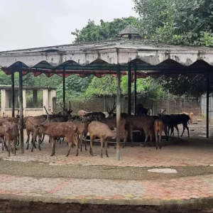 unnamed - 2025-09-01T114524.071